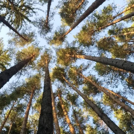 G-apartment, New Inn, 2-rooms Apartamento Bansko